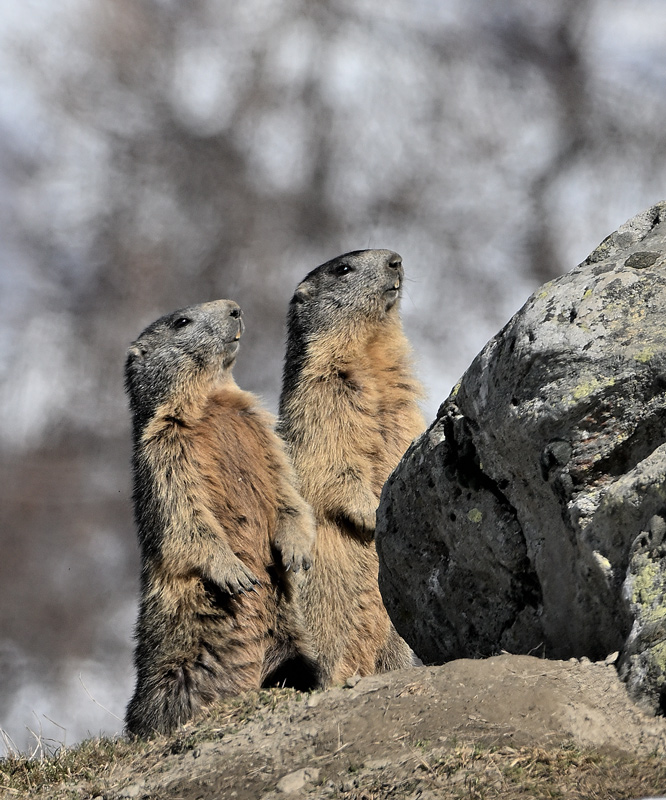 ZSC_5358.jpg