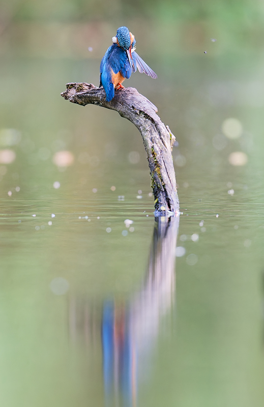 DSC_0043_DxO.jpg