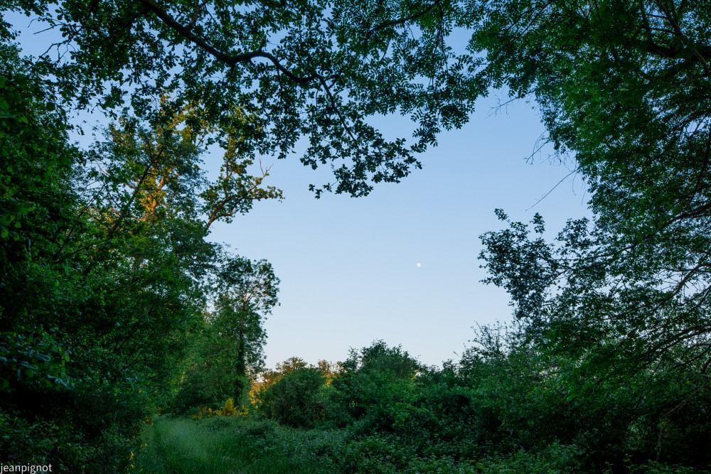 N4 paysage avec la lune_001N4 paysage avec la lune_001N4 paysage avec la lune_001N4 paysage avec la lune.JPG
