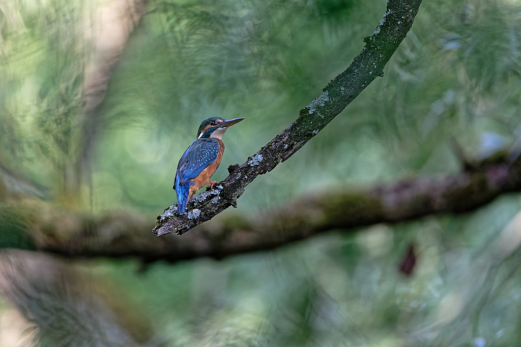 DSC_8923_DxO.jpg