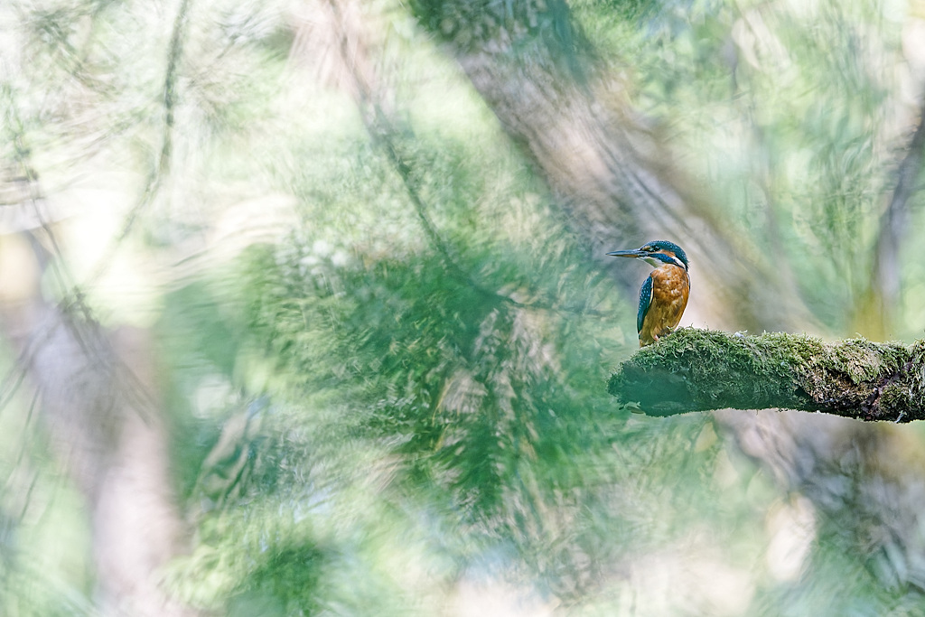 DSC_8981_DxO.jpg