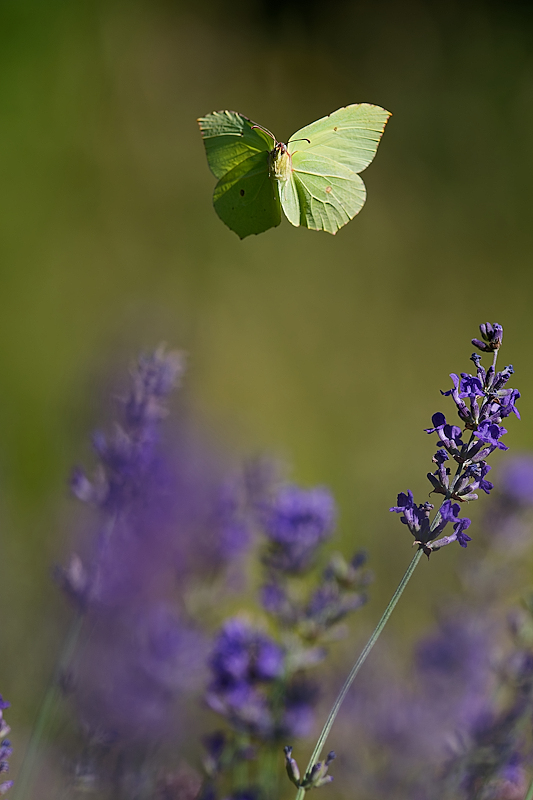 DSC_9507_DxO.jpg