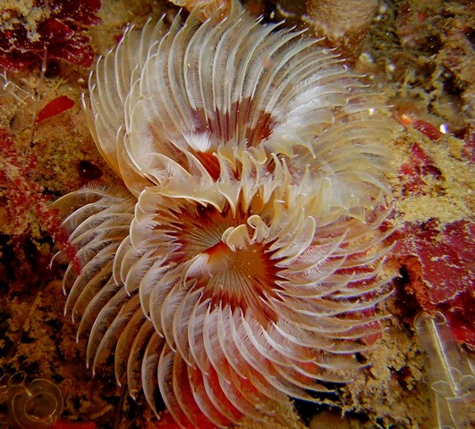 DSCN3461.jpg