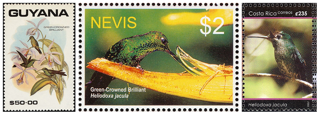 I&N_timbres_brillant_fer_de_lance.jpg