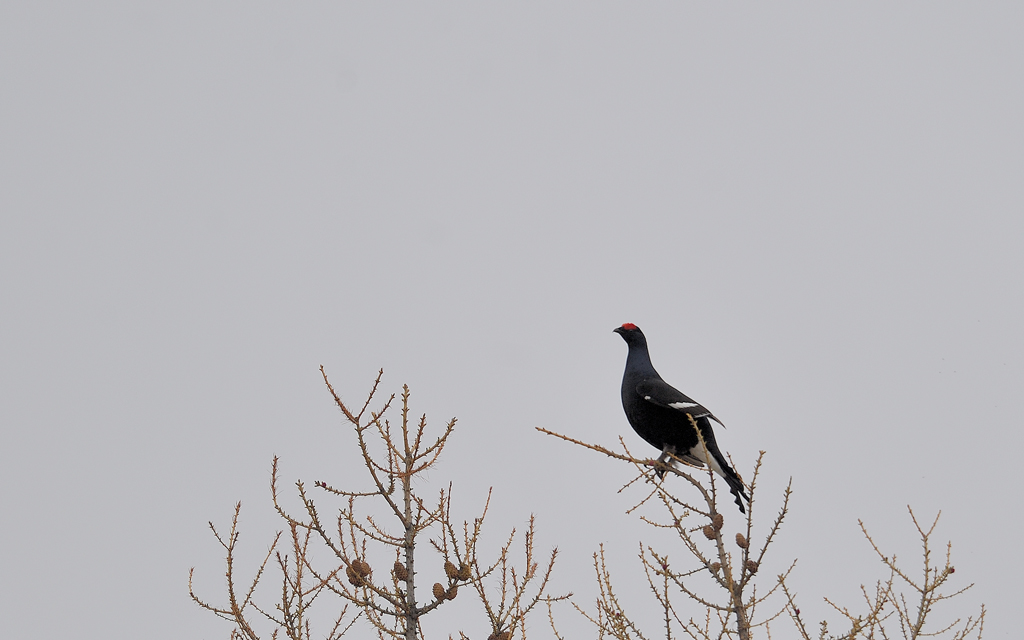 DS5_4246.jpg