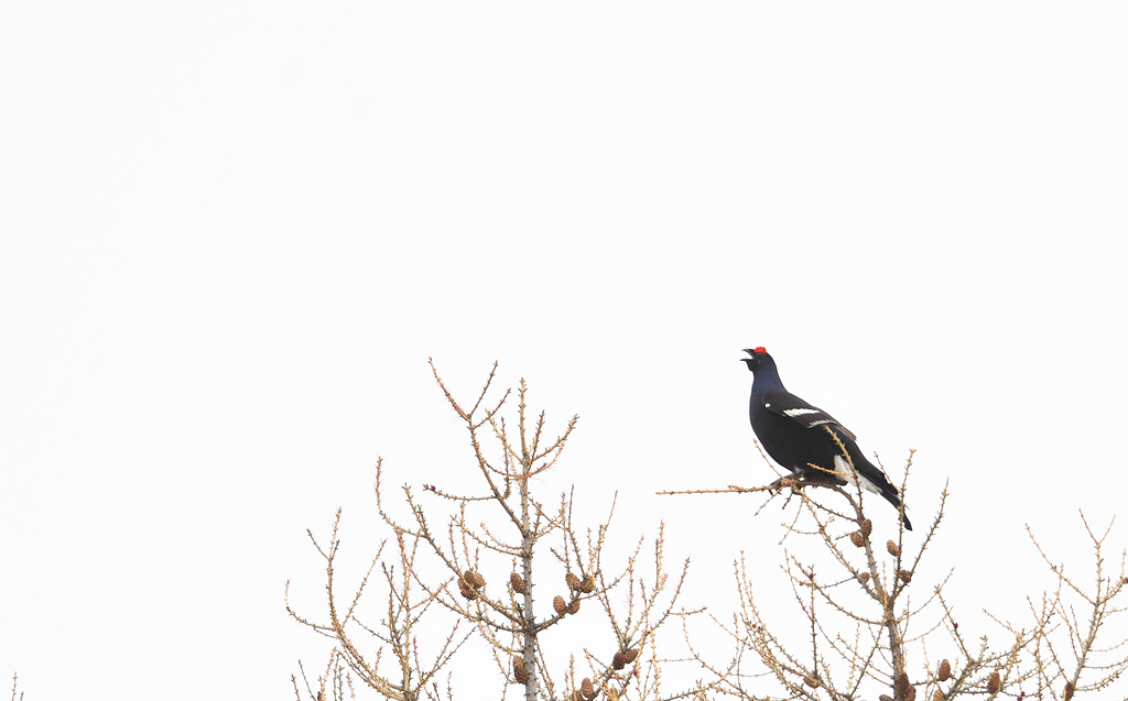DS5_4251.jpg