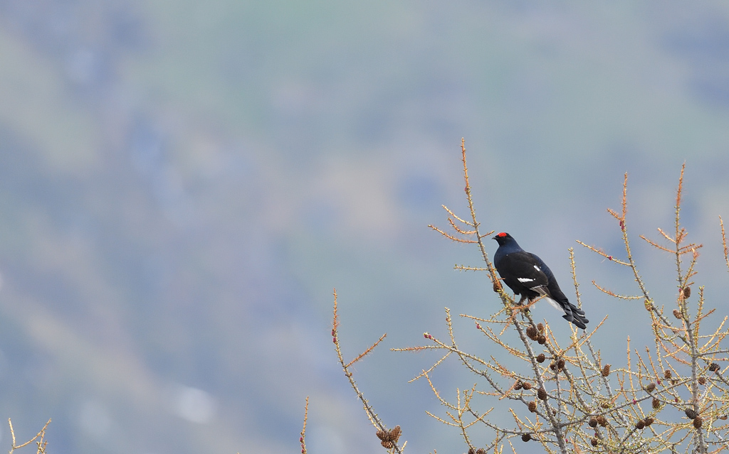 DS5_4256.jpg
