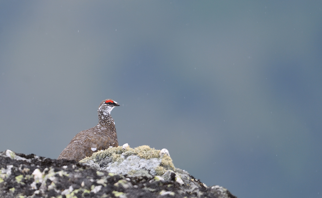 DS5_4262.jpg