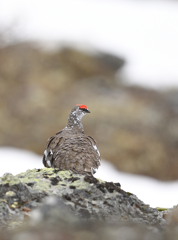 DS5_4289.jpg