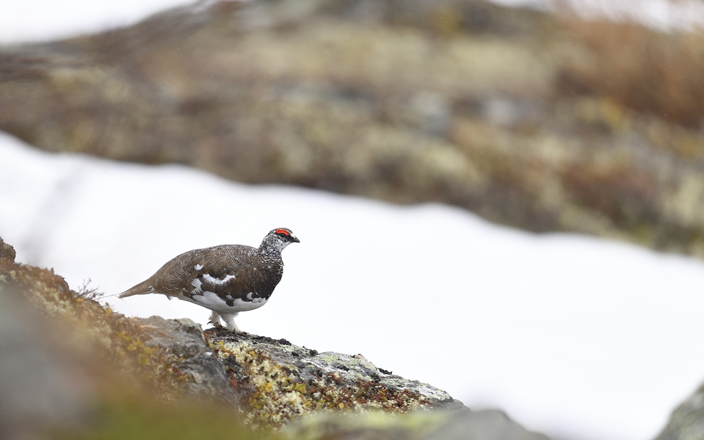 DS5_4292.jpg
