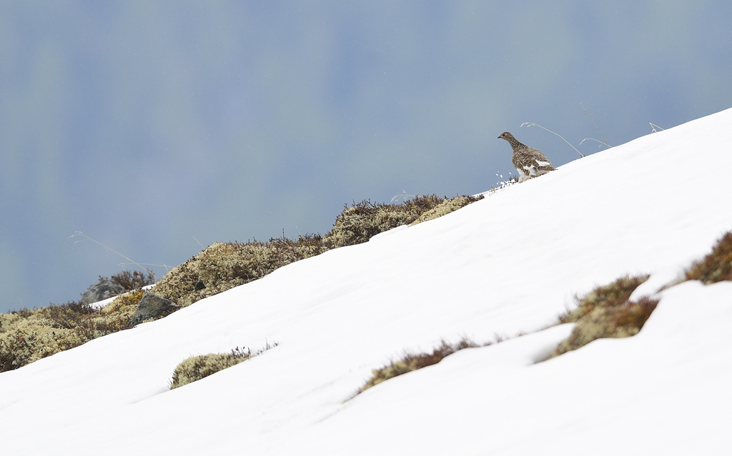DS5_4311.jpg