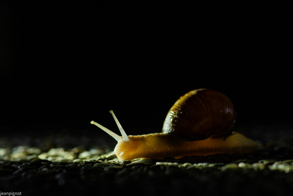 DSC_3883_001DSC_3883.JPG
