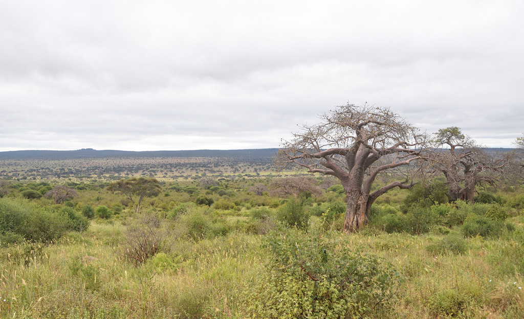 DS5_4413.jpg