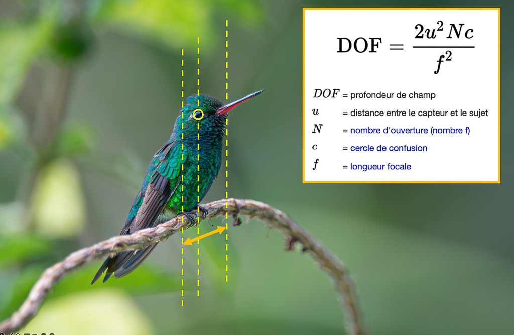 I&N_parametres-PDC.jpg