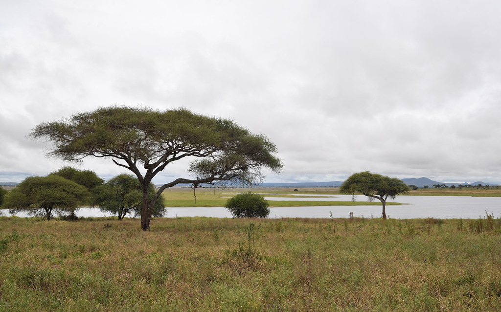 DS5_4428.jpg