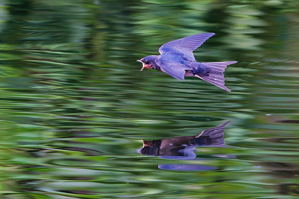 DSC_0093_DxO.jpg