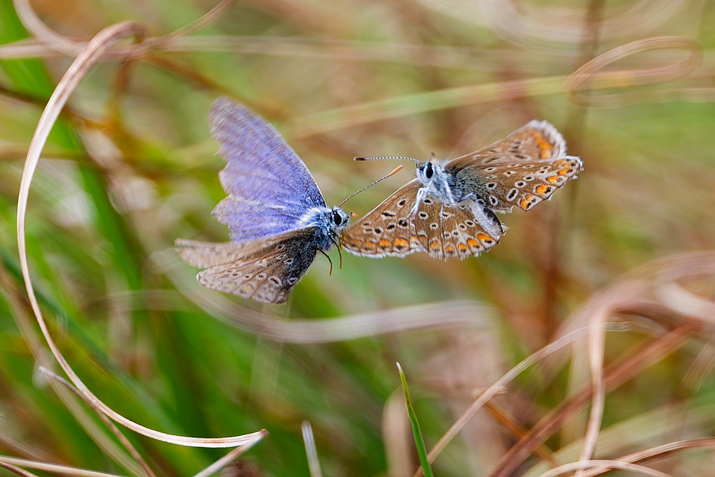 DSC_4926_DxO.jpg