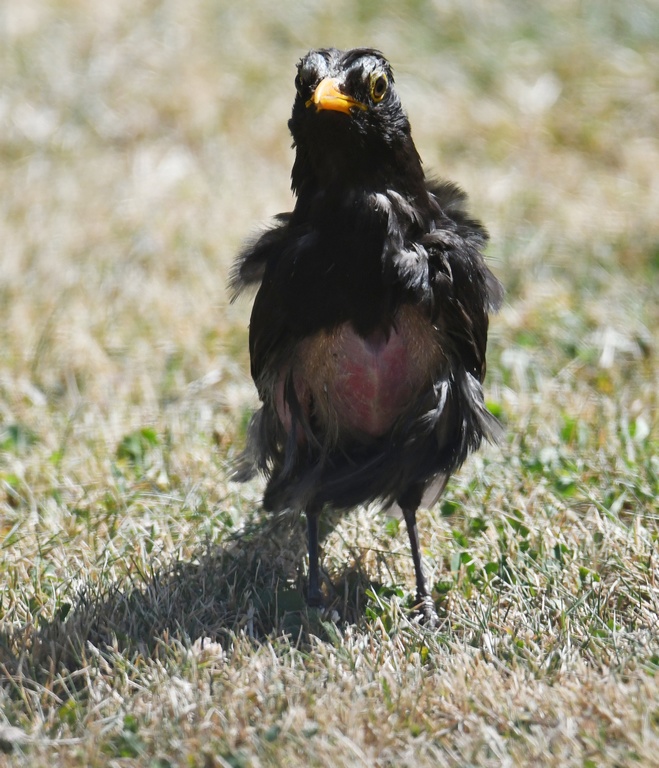 DSC_4643.jpg