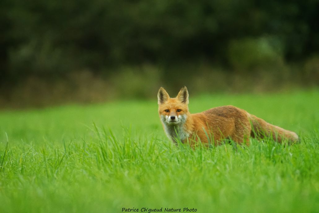 DSC_4443_DxO.jpg