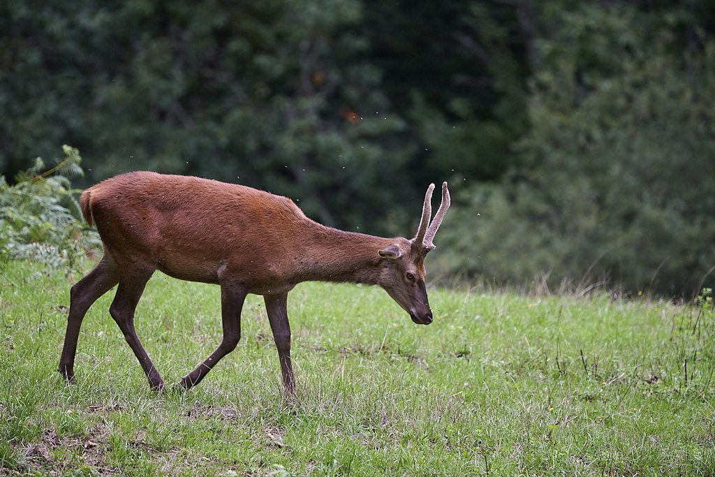 c 7872_1_03.jpg
