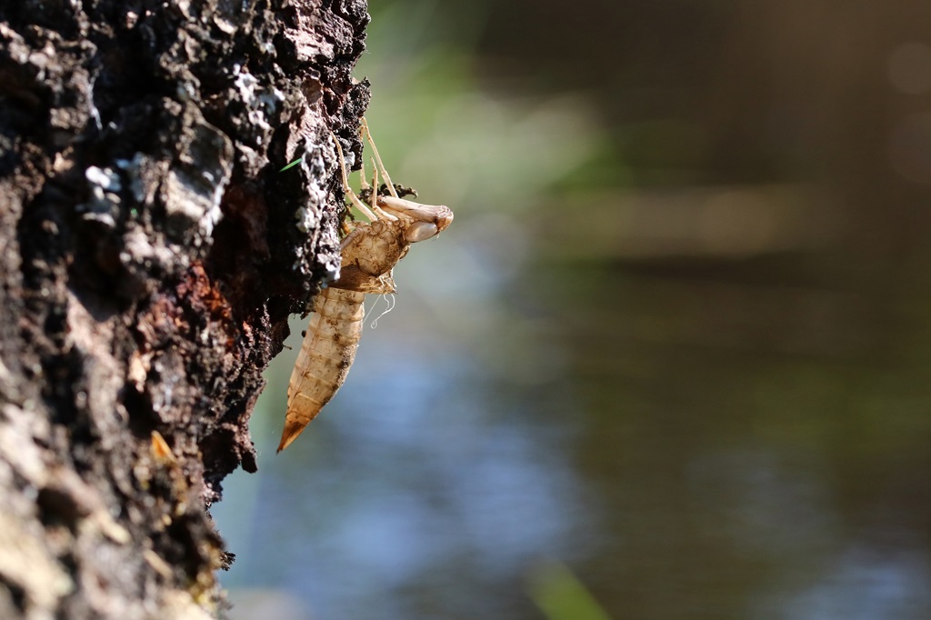 12 IMG_0418X.JPG