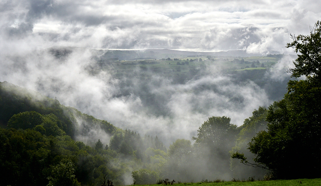 aa 8596_1_03.jpg