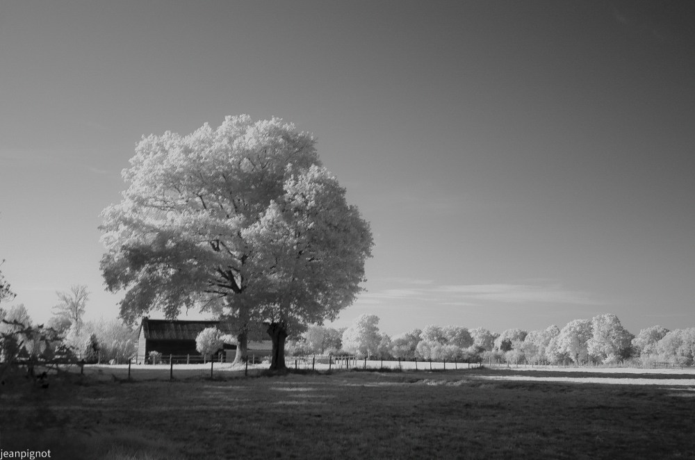 DSC_6136_001DSC_6136.JPG