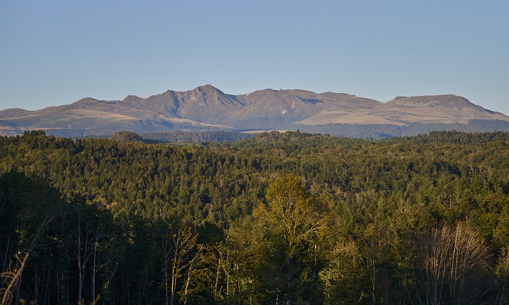 d 8306_1_04.jpg