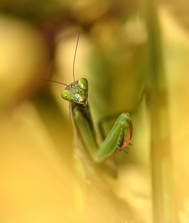 DSC_6689_F.jpg