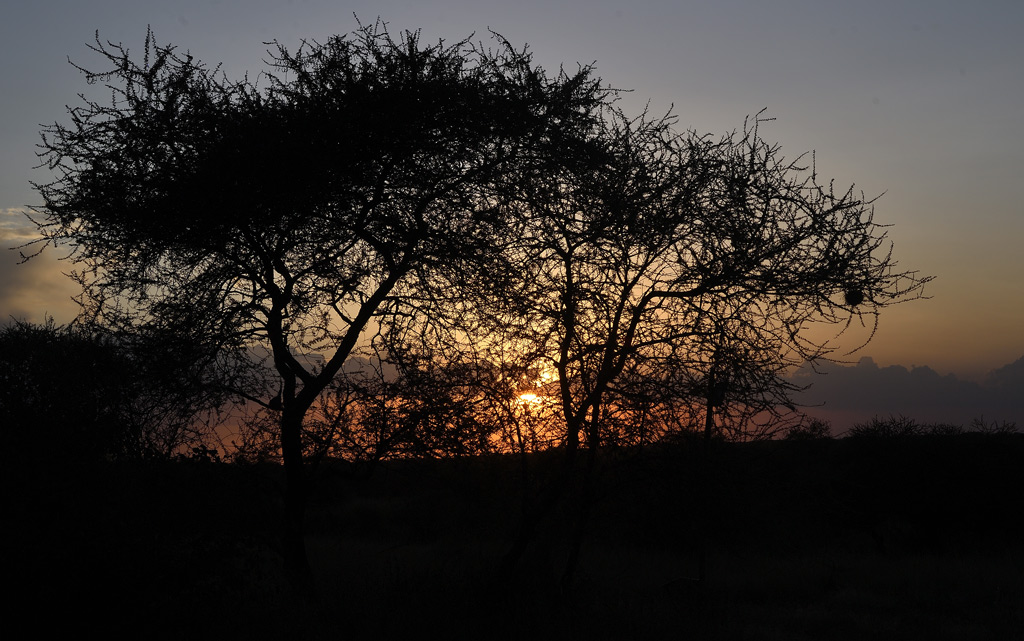 DS5_4505.jpg