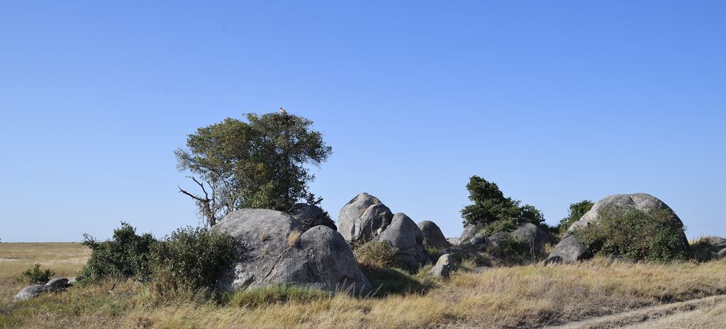DS5_4699.jpg