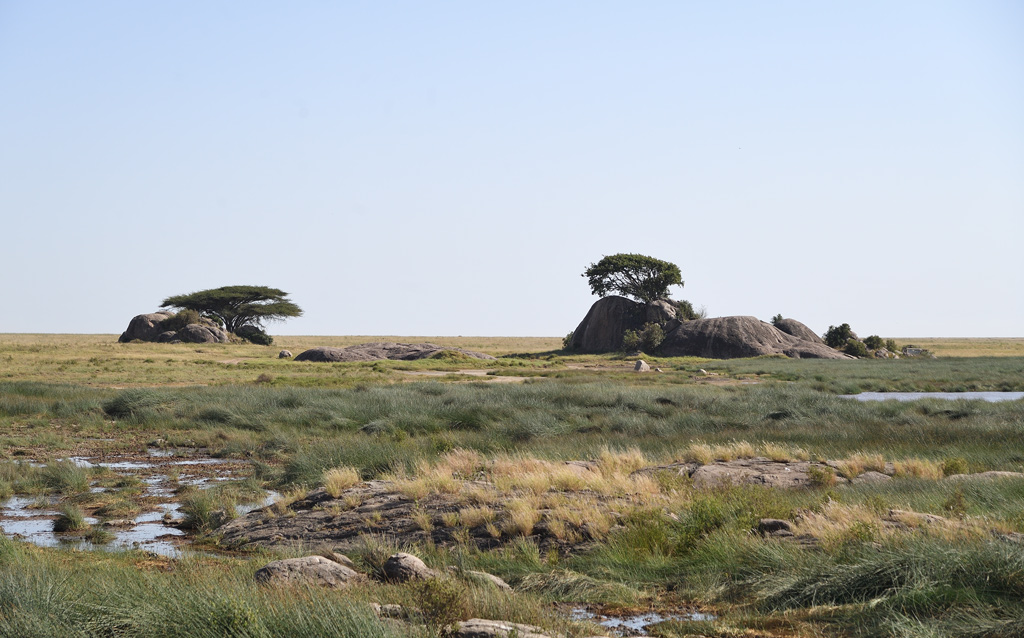 DS5_4705.jpg