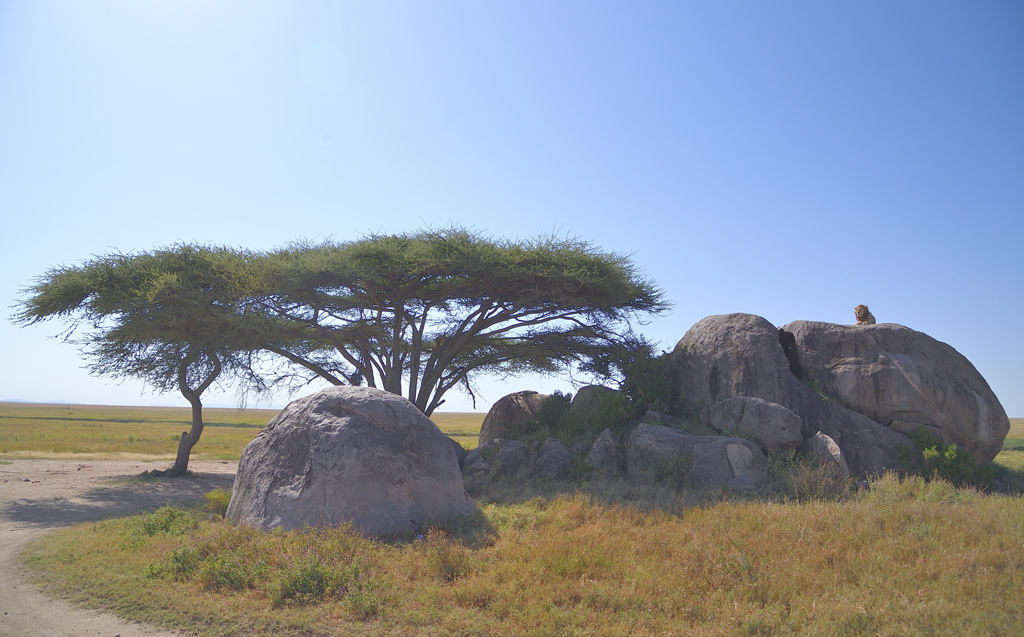 DS5_4709.jpg