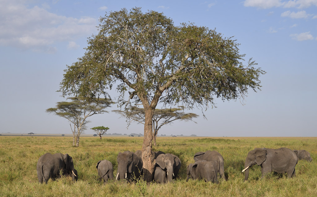 DS5_4742.jpg