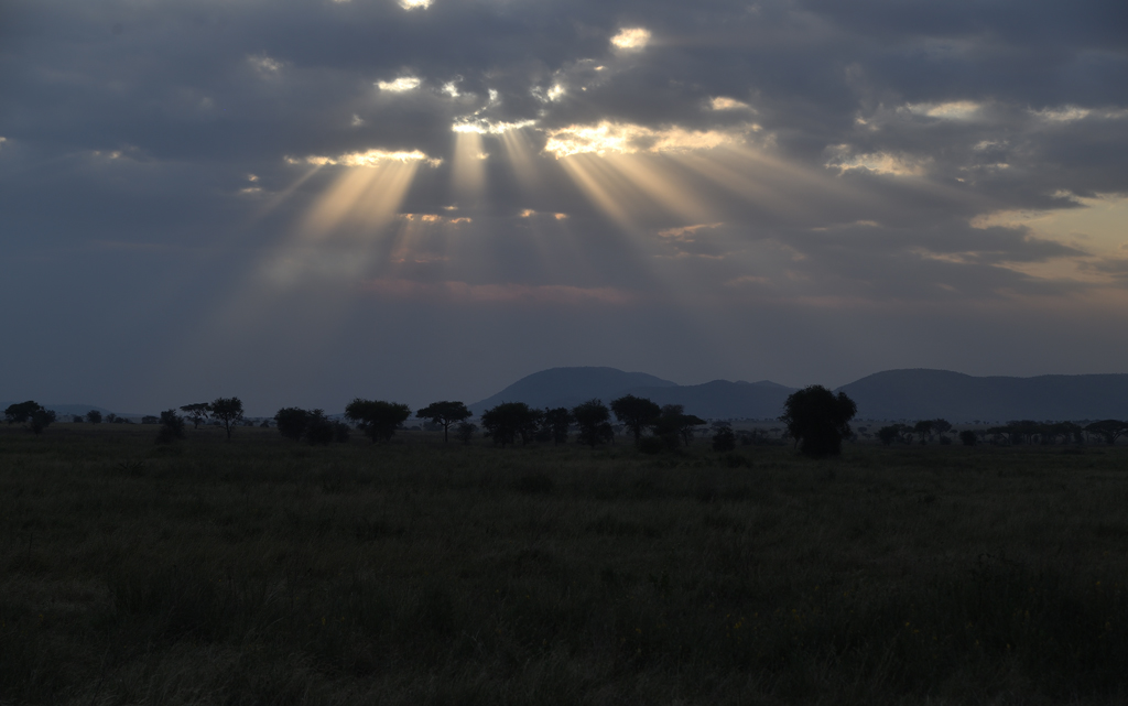 DS5_4756.jpg