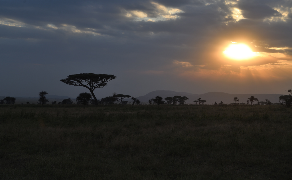 DS5_4760.jpg