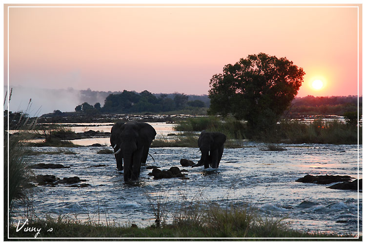 victoria-falls113.jpg
