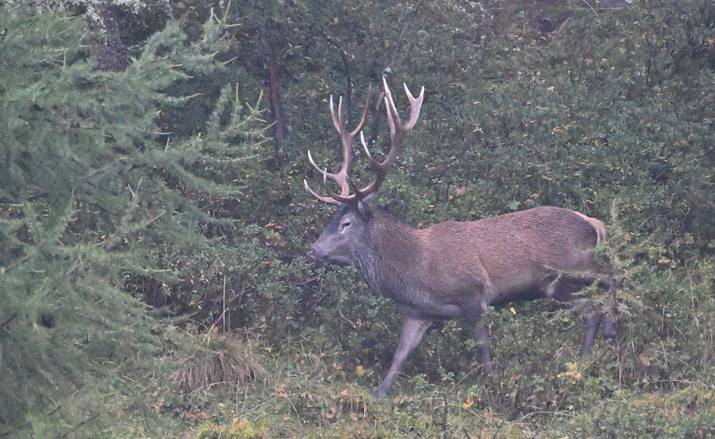 ZSC_1042.jpg