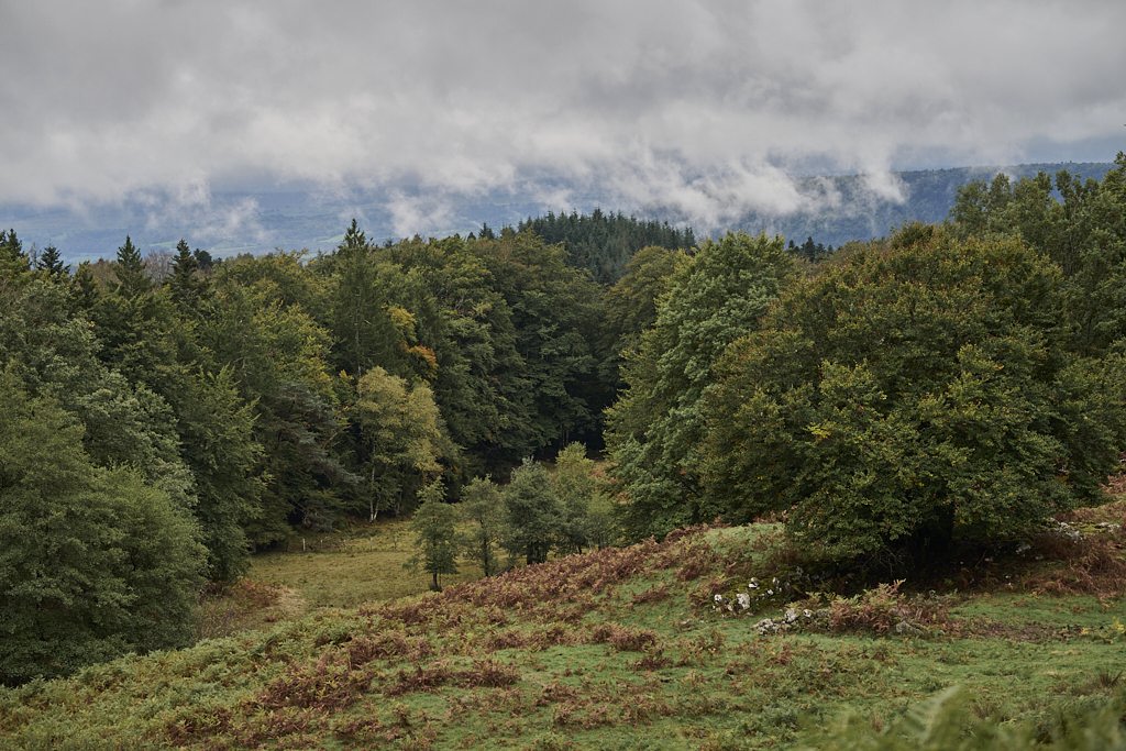 e 8579_1.jpg