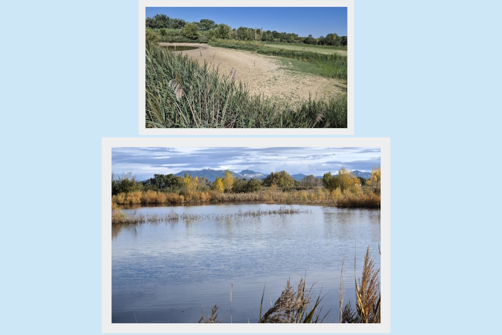 etang ete automneIN.jpg
