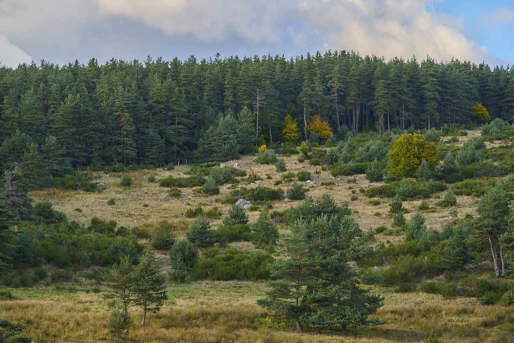 b 8979_1_02.jpg