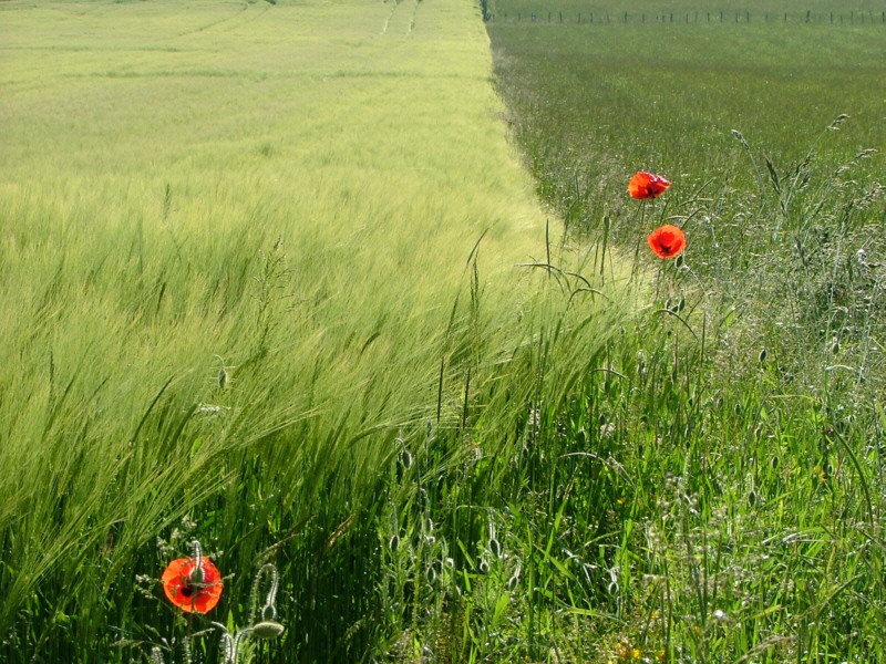 photo2.jpg