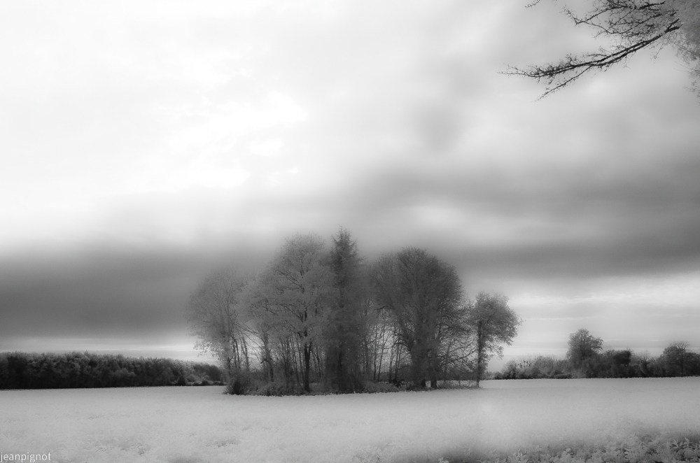 DSC_6225_001DSC_6225.JPG