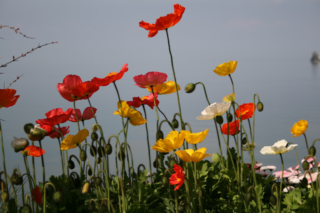 Couleurs.jpg