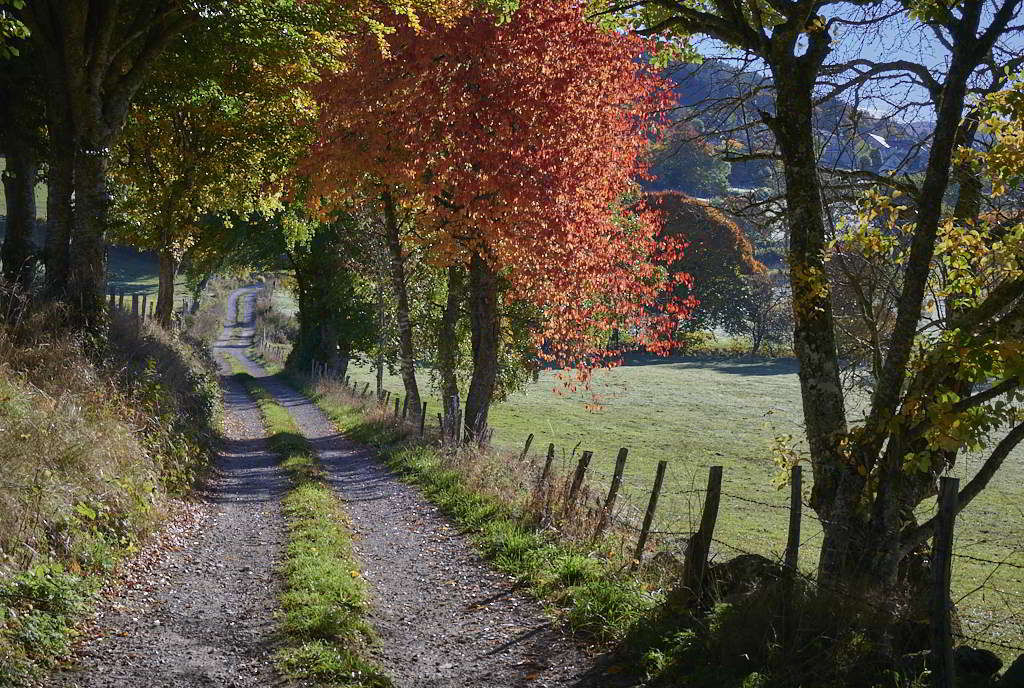 e 8656_1_03.jpg