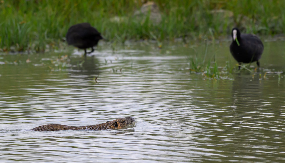 La Rochelle 2025_477.jpg