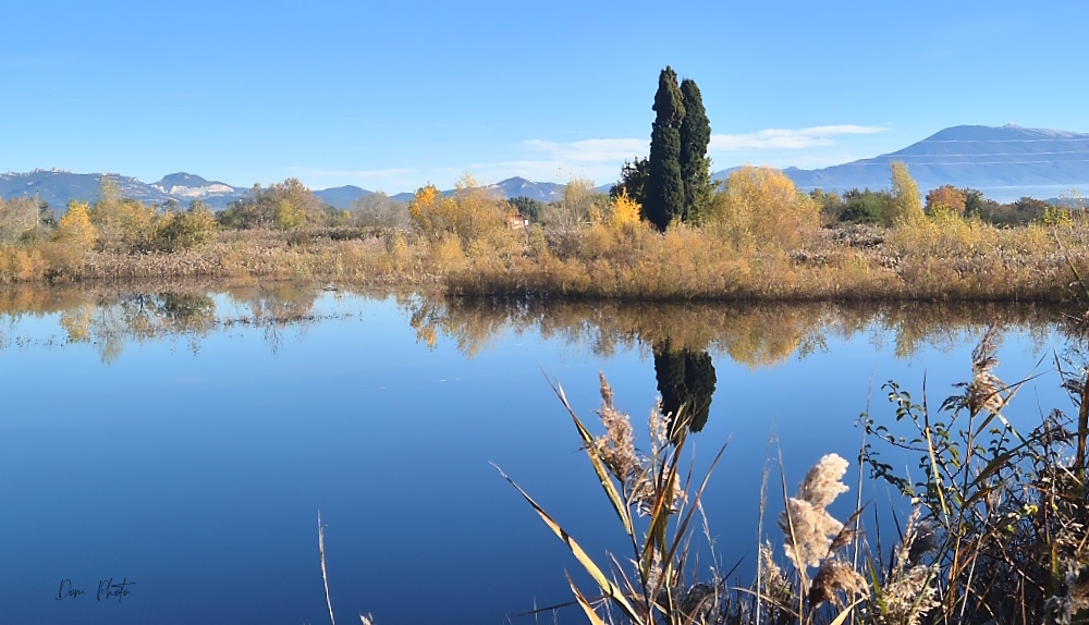 20251105_094656-001IN.jpg