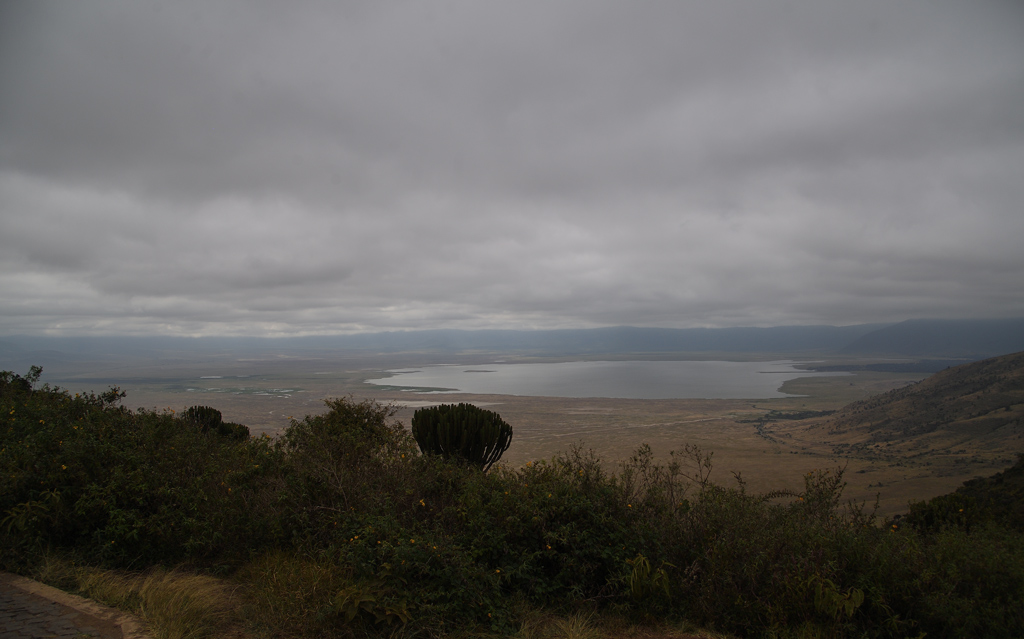 DS5_4766.jpg