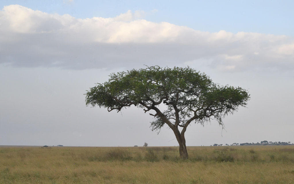 DS5_4753.jpg