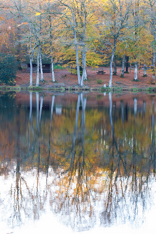 Etang de La Lande Forêt 1.jpg